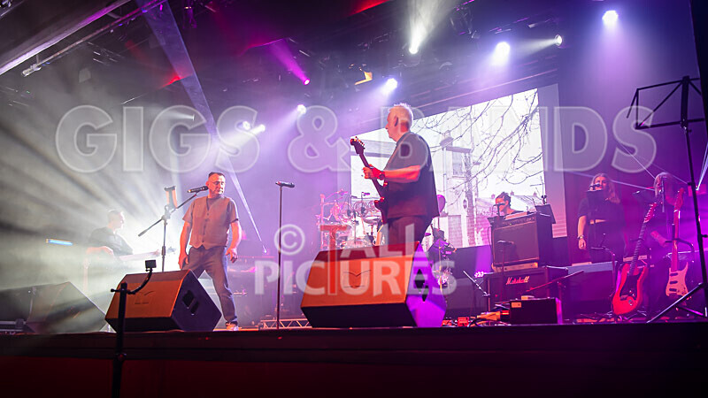 Elysium as Pink Floyd-279 - ELYSIUM as PINK FLOYD