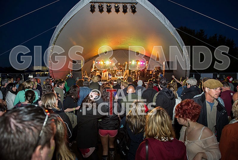 The Selecter-16 - THE SELECTER