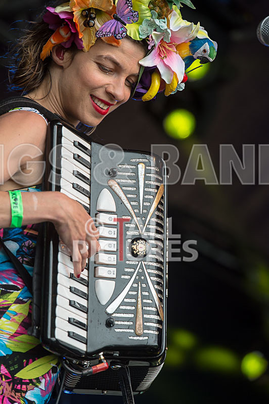 Molotov Jukebox-60 - MOLOTOV JUKEBOX