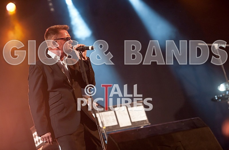 Madness-23 - MADNESS