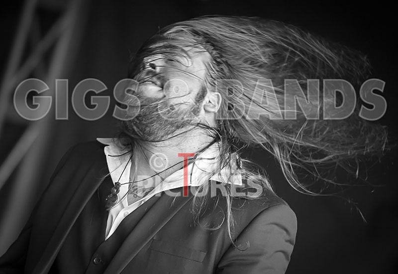 Stone Em All-311 - STONE EM ALL