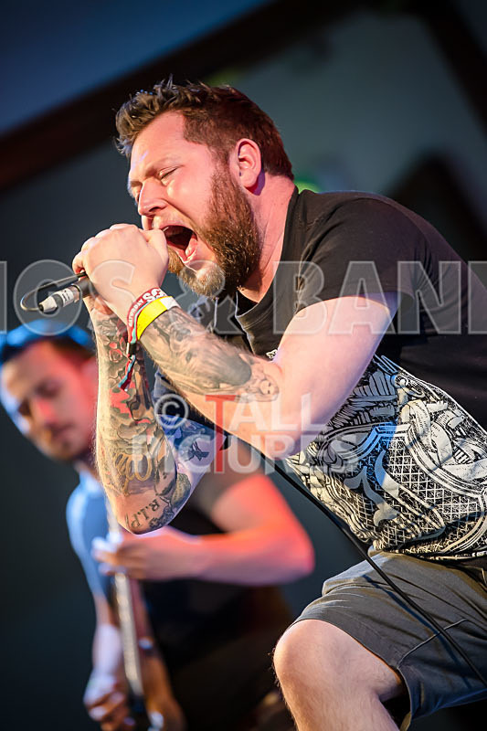 Granite Wolf-54 - GRANITE WOLF