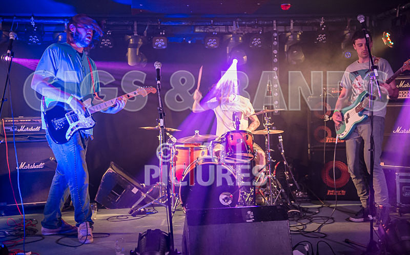 To the Woods-69 - TO THE WOODS