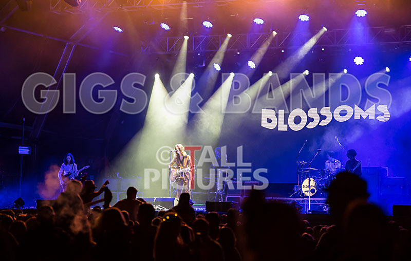 Blossoms-3 - BLOSSOMS