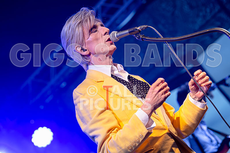 The Bowie Experience-12 - THE BOWIE EXPERIENCE