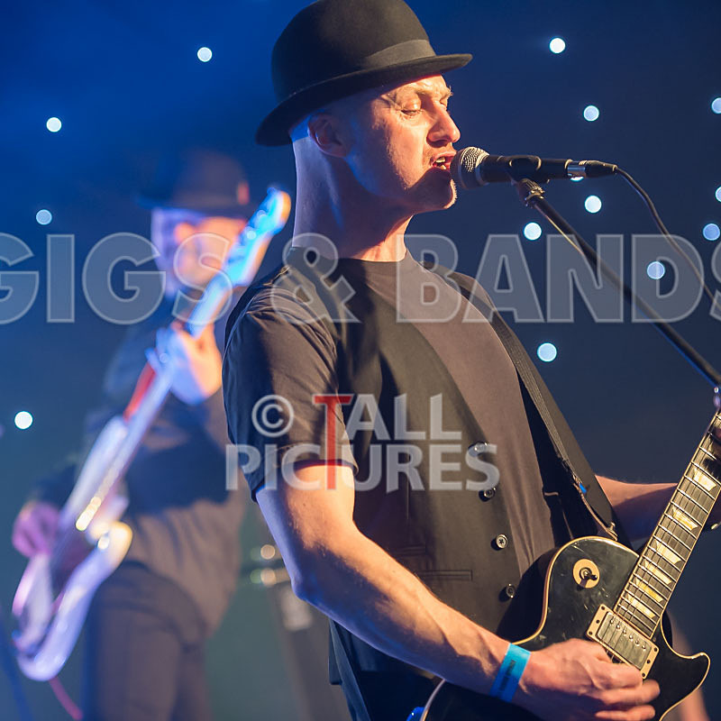 Peppered Ant Legs-198 - PEPPERED ANT LEGS