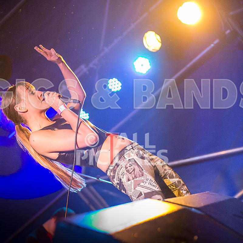 FireFarm-16 - FIREFARM