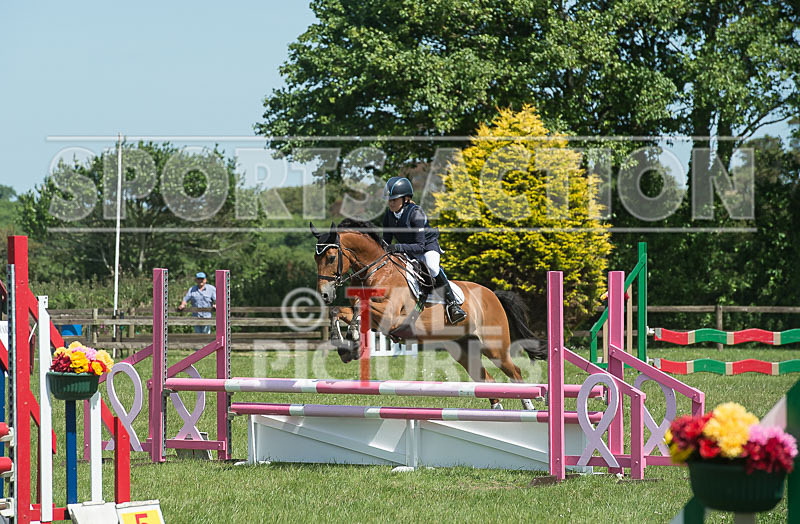 Showjumping_Derby Show_2014-3 - BRITISH SHOWJUMPING GUERNSEY DERBY SHOW 2014