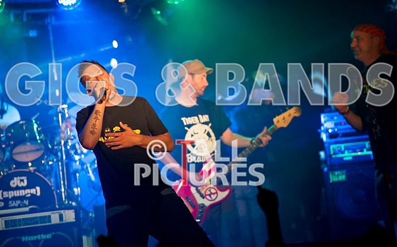 Spunge-64 - [spunge]