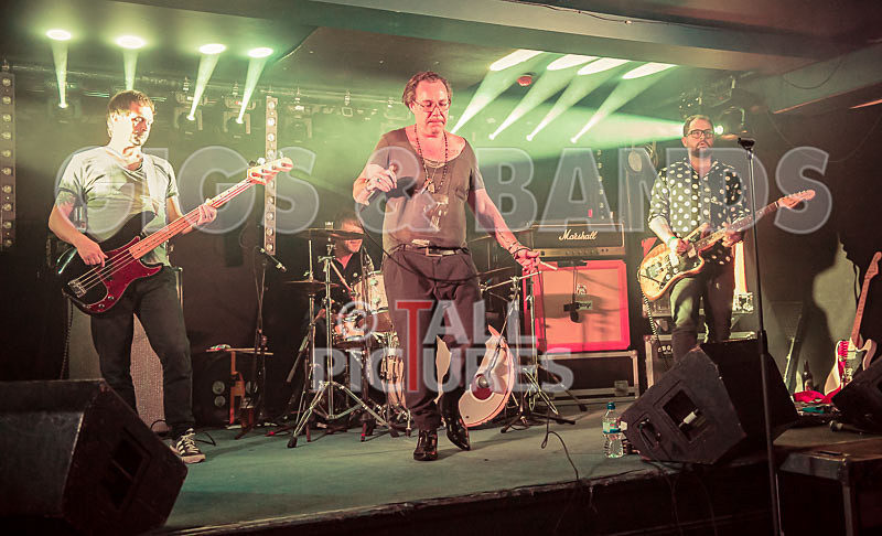 Gay Army-190 - GAY ARMY