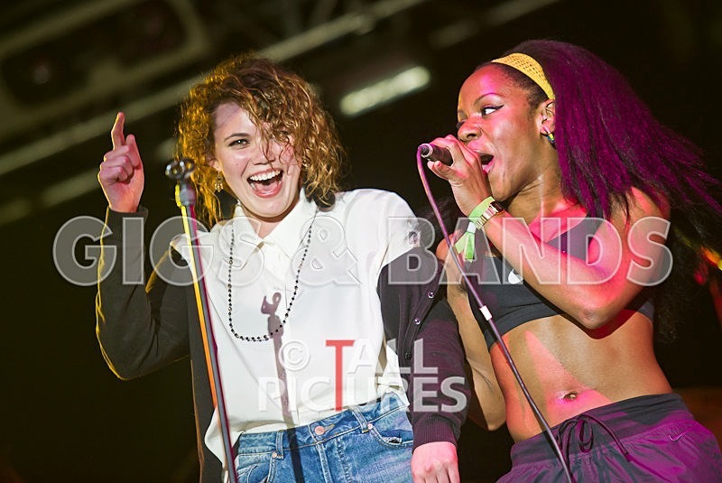 The Go Team-30 - THE GO! TEAM