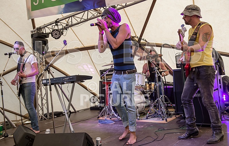 Harlequin Knights-54 - HARLEQUIN KNIGHTS