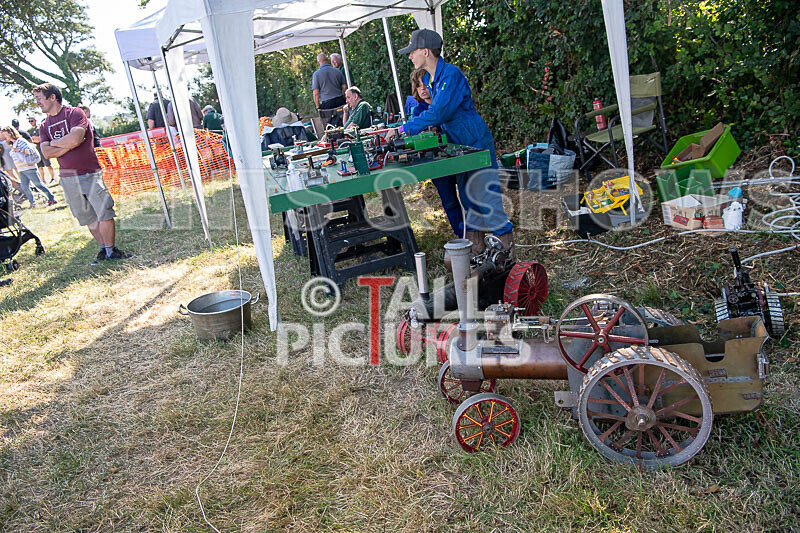 Guernsey Agricultural Show 2021-188 - GUERNSEY AGRICULTURAL SHOW 2021