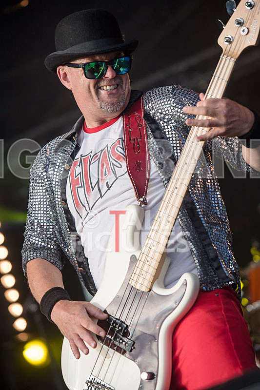 Peppered Ant Legs-256 - PEPPERED ANT LEGS