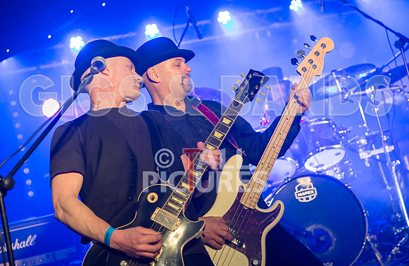 Peppered Ant Legs-146 - PEPPERED ANT LEGS