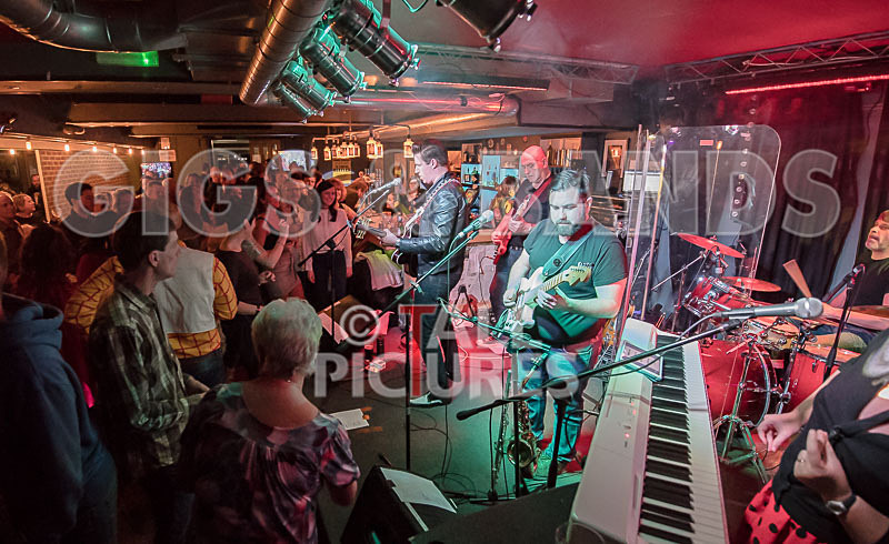 Matt Bonneville  the Cage Shakers-28 - MATT BONNVILLE & THE CAGE SHAKERS