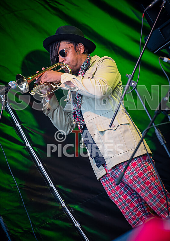 RentOClean-332 - RENTOCLEAN