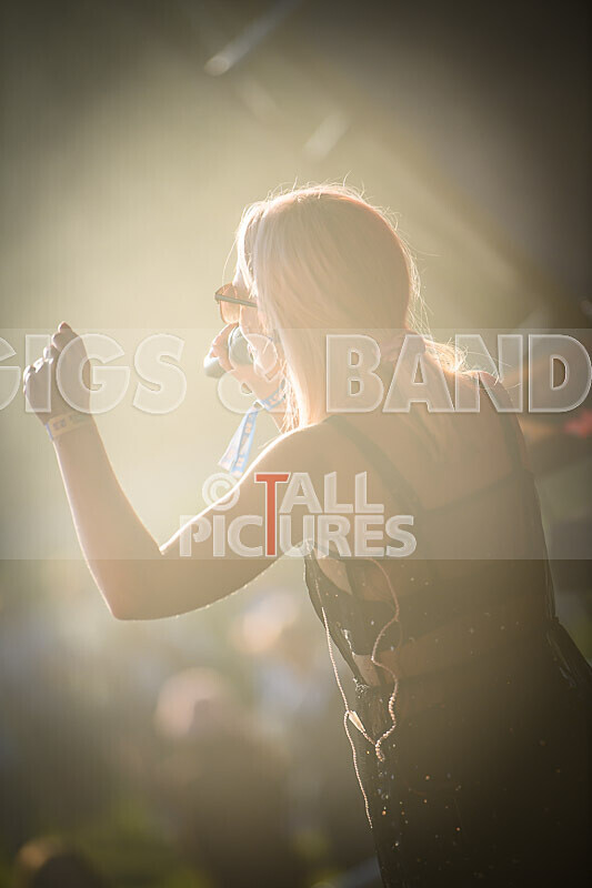 Element 6-67 - ELEMENT 6