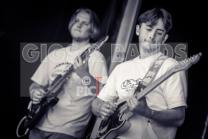 Bloomfield-45 - BLOOMFIELD