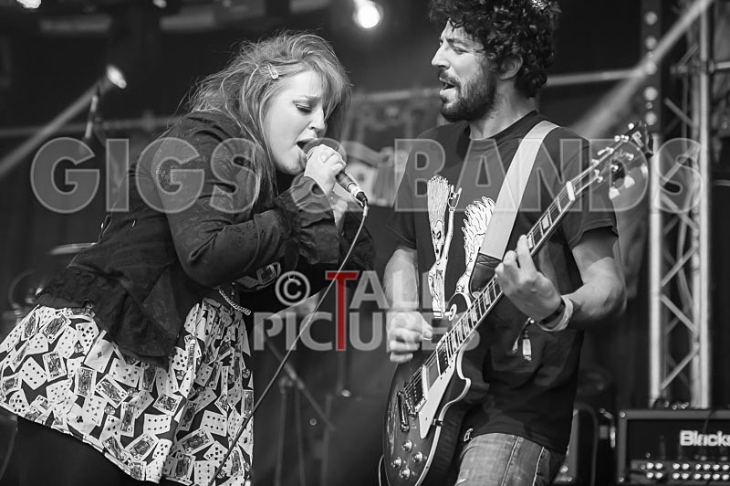 Static Alice-120 - STATIC ALICE