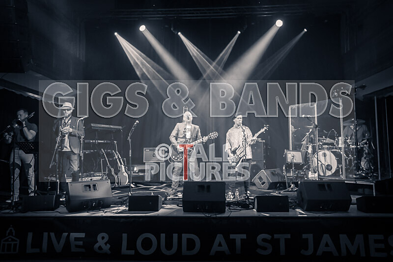 The Risk-480 - THE RISK