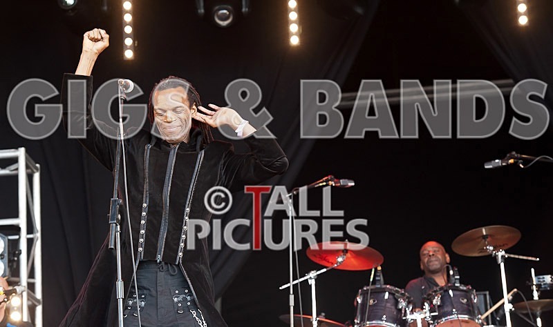 The Beat-34 - THE BEAT