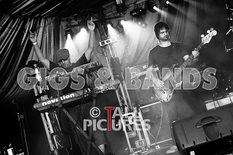 Gay Army-43 - GAY ARMY at GREENMAN CHAOS 2010