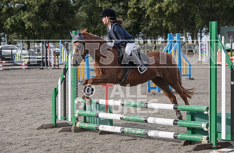 North Showjumping_2016-8 - NORTH SHOW SHOWJUMPING 2016