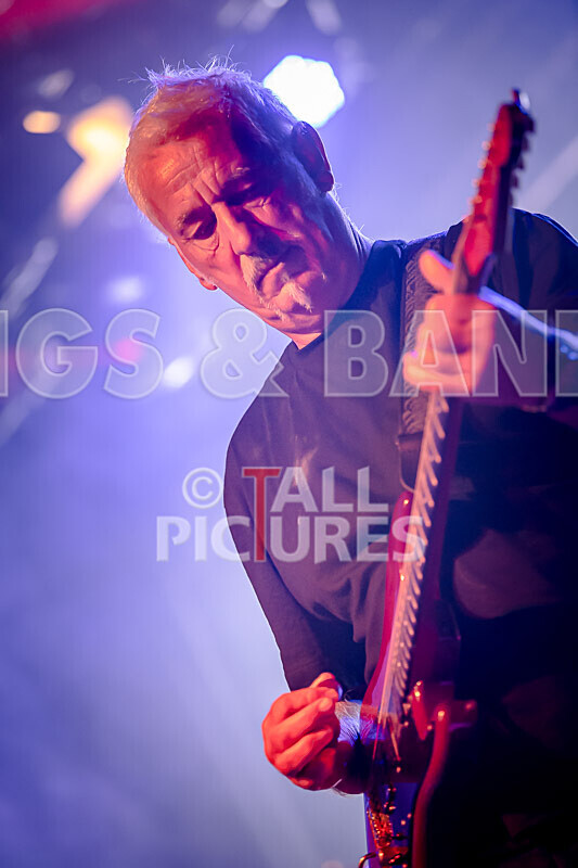 Elysium as Pink Floyd-255 - ELYSIUM as PINK FLOYD