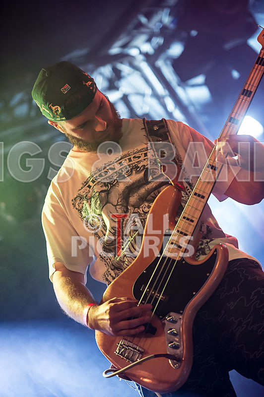 Demise of Sanity-127 - DEMISE OF SANITY