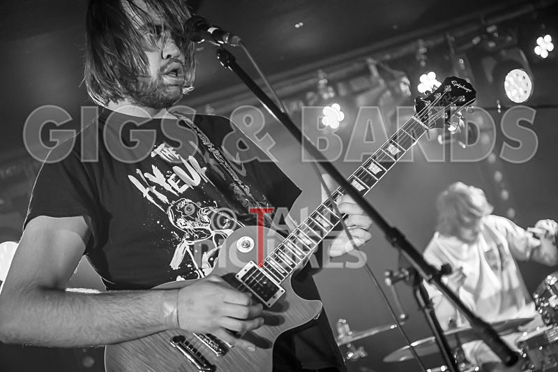 To the Woods-431 - TO THE WOODS