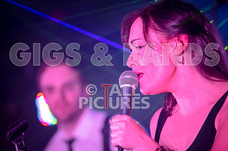 The Erawigs-4 - THE ERAWIGS