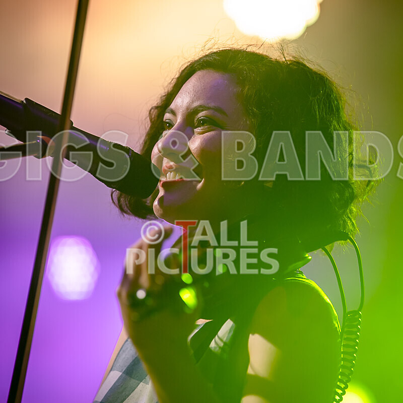 The King Blues-26 - THE KING BLUES