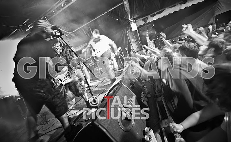 Spunge-18 - [spunge]