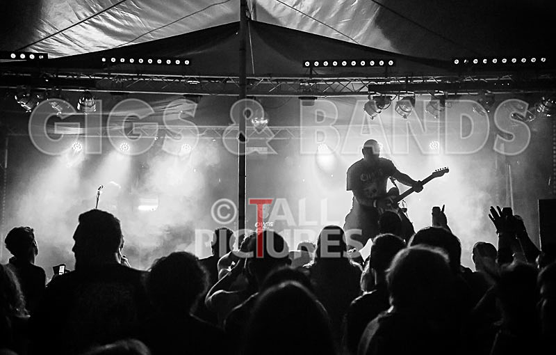 Spunge-178 - [spunge]