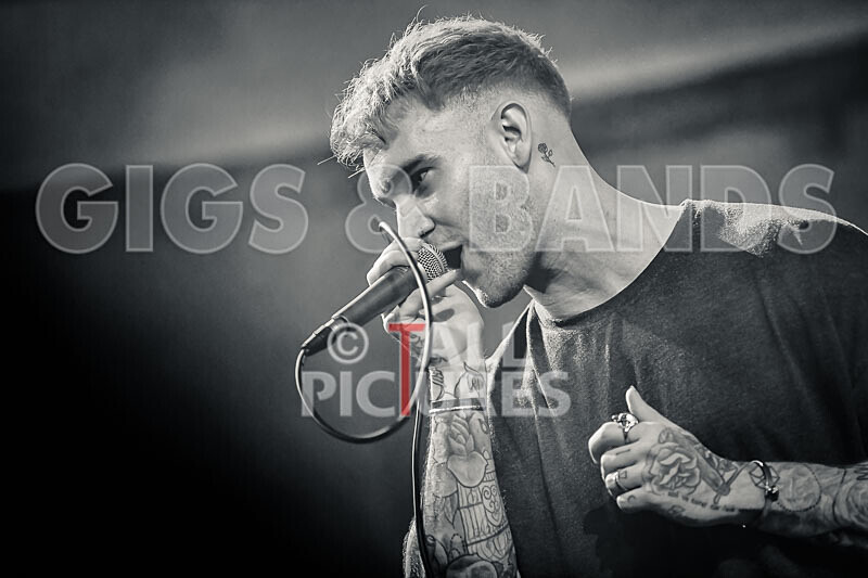 Eli Crossan-1 - THE GUESTS