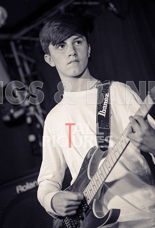 Pigeon Bomb-13 - PIGEON BOMB