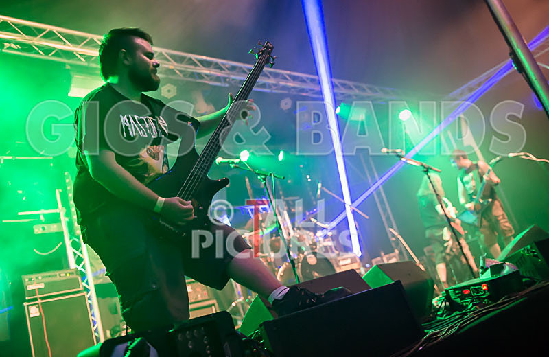 Demise of Sanity-47 - DEMISE OF SANITY