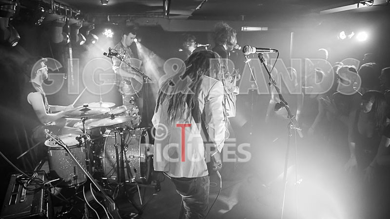 The Recks-206 - THE RECKS