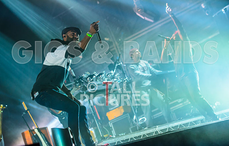 Rudimental-12 - RUDIMENTAL