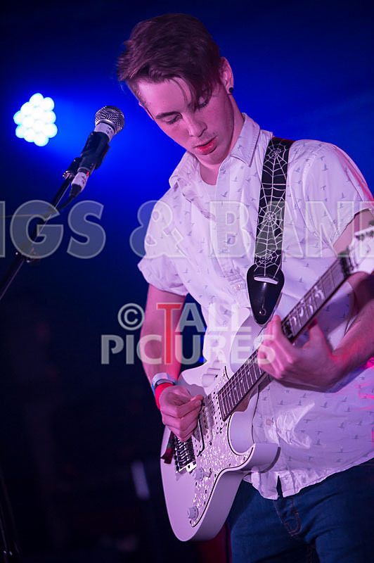 Francisco-100 - FRANCISCO