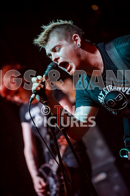 Roughneck Riot-7 - ROUGHNECK RIOT