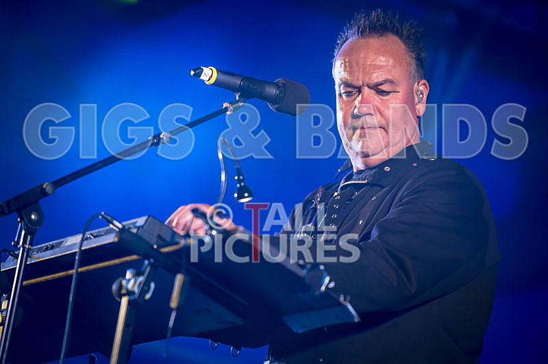 Fade to Grey-289 - FADE TO GREY