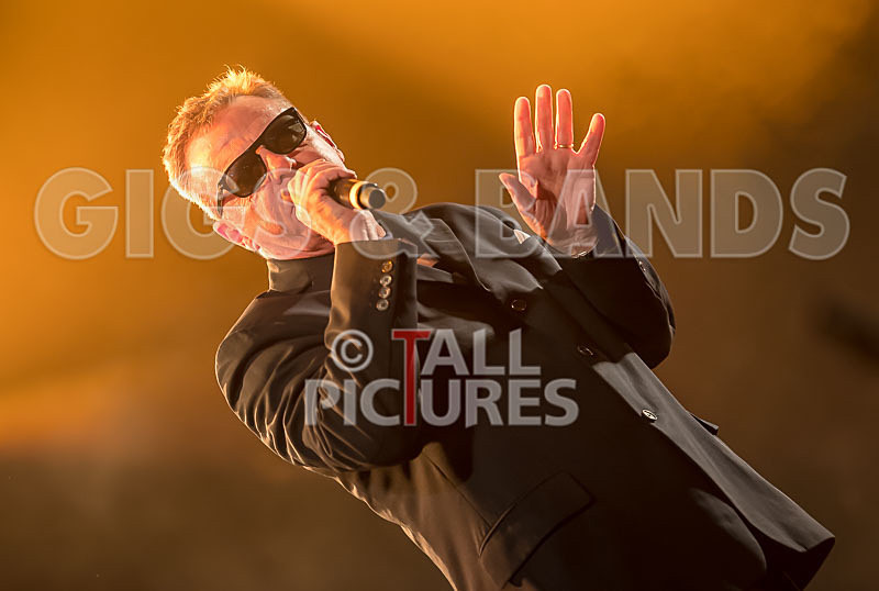 Madness-79 - MADNESS