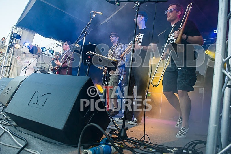 Sons of the Desert-227 - SONS OF THE DESERT