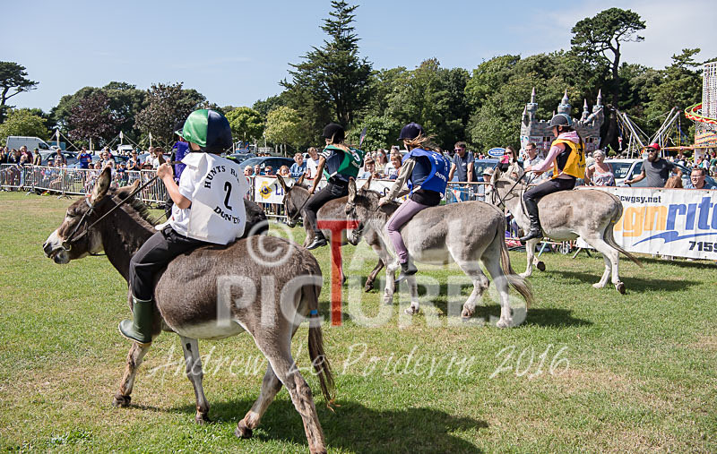 Donkey Derby_2016-25 - LIONS CLUB DONKEY DERBY 2016