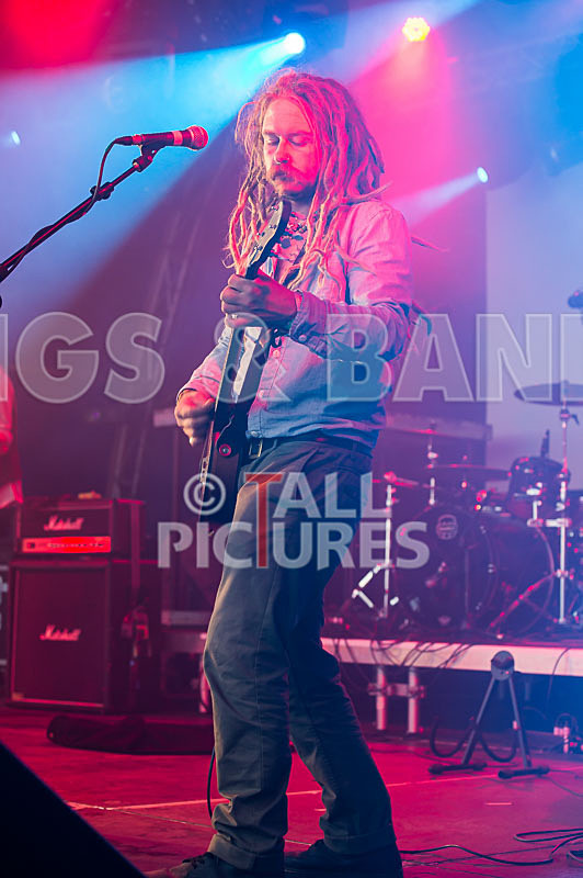 The Recks-311 - THE RECKS