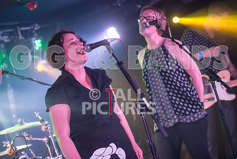 Ray and the Guns-56 - RAY AND THE GUNS