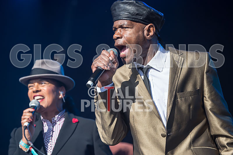 The Selecter-24 - THE SELECTER