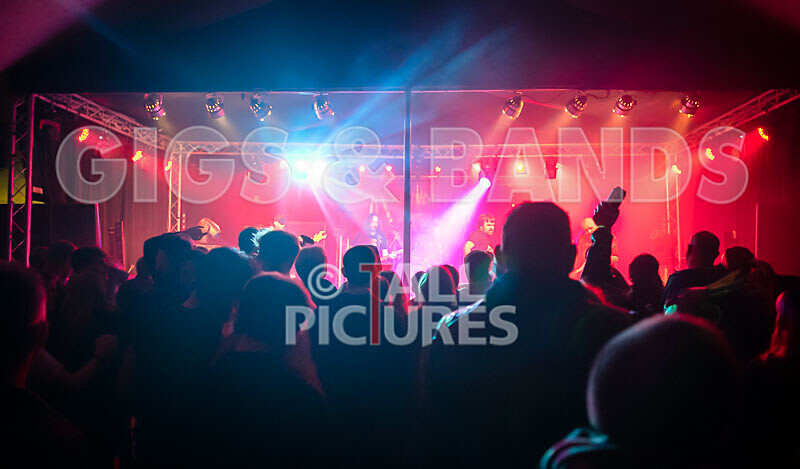 Maiden Guernsey-250 - MAIDEN GUERNSEY